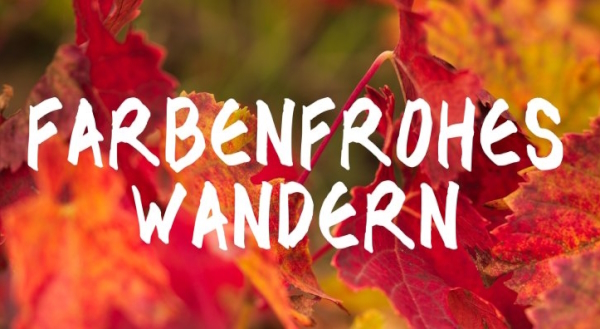 Farbenfrohes Wandern 2025