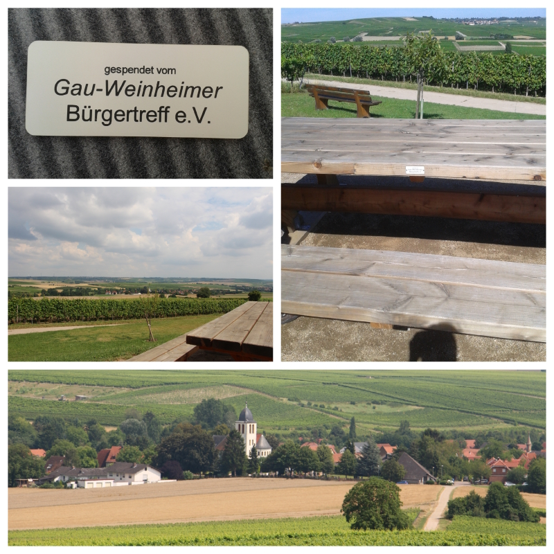 Bänke am Seminarpavillon mit Ausblick auf Gau-Weinheim