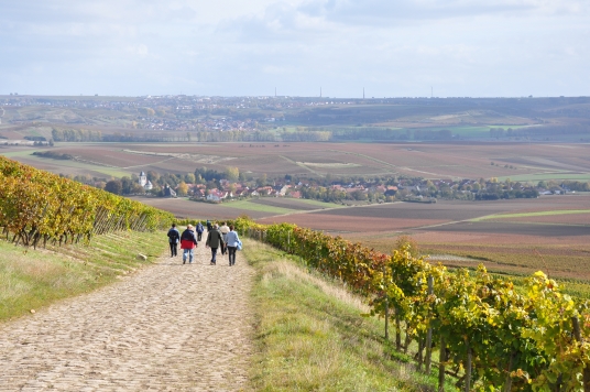 herbstwanderung-buergertreff-2009-01.jpg