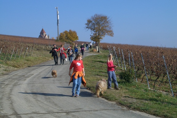 herbstwanderung-buergertreff-2010-01.jpg