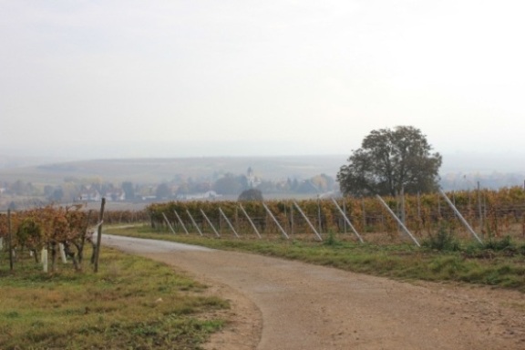 herbstwanderung-buergertreff-2011-01.jpg