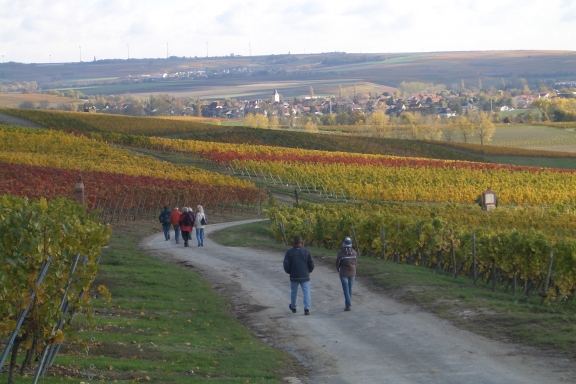 herbstwanderung-buergertreff-2012-02.jpg