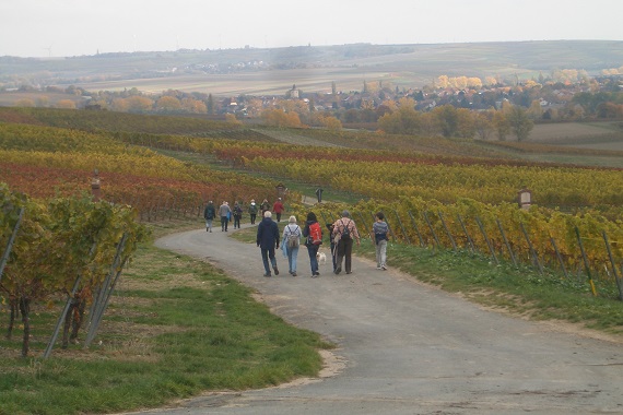 herbstwanderung-buergertreff-2015.jpg