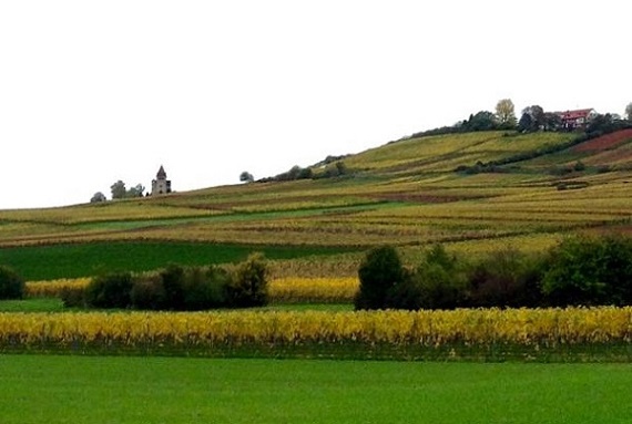 herbstwanderung-buergertreff-2019