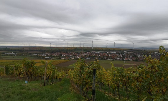 herbstwanderung-buergertreff-2019