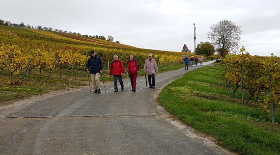 herbstwanderung-buergertreff-2019