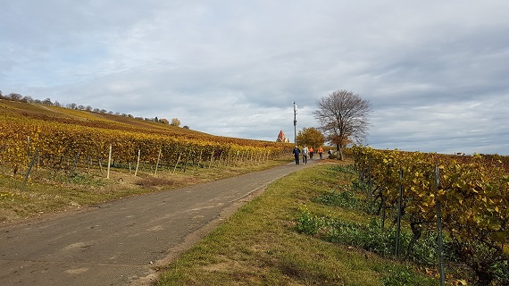 herbstwanderung-buergertreff-2021