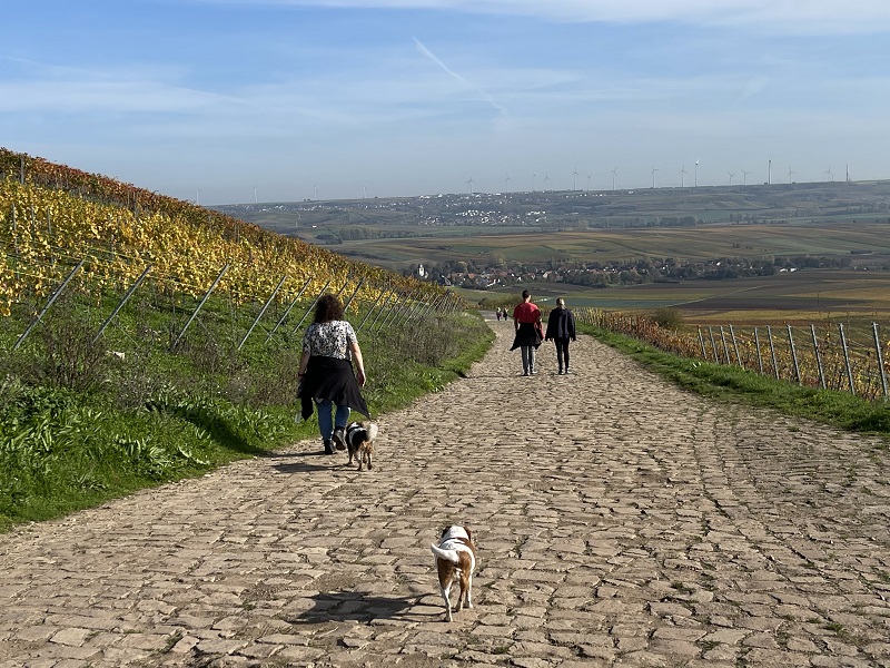 herbstwanderung-buergertreff-2022