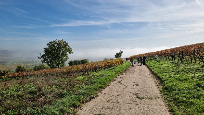 herbstwanderung-buergertreff-2022